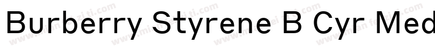 Burberry Styrene B Cyr Medium Plus字体转换